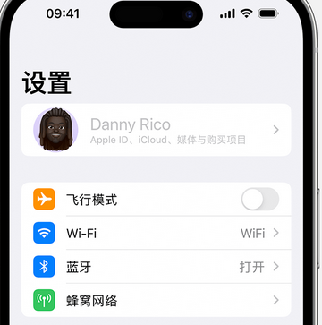 双塔appleID维修服务iPhone设置中Apple ID显示为灰色无法使用 