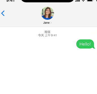 双塔apple维修iPhone上无法正常发送iMessage信息