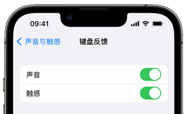 双塔苹果手机维修分享iPhone 14触感键盘使用方法 