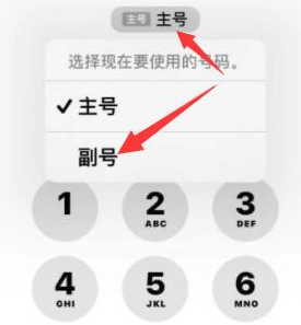 双塔苹果14维修店分享iPhone 14 Pro Max使用副卡打电话的方法 