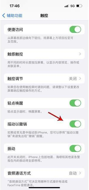 双塔苹果手机维修分享iPhone手机如何设置摇一摇删除文字 